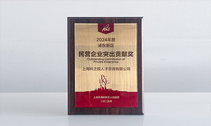 人力资源供应商凯发K8国际凭借人才服务与在区域经济开展中的卓越表现荣膺2024年度浦东新区民营企业奖项
